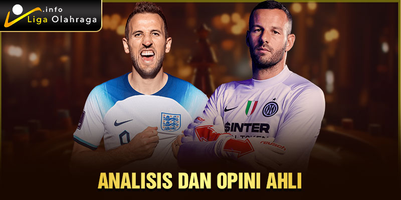 Analisis dan Opini Ahli