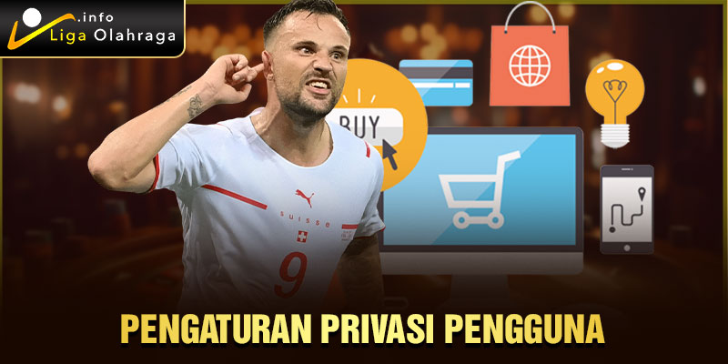 Pengaturan Privasi Pengguna